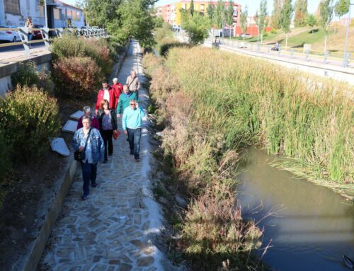 El Ayuntamiento mejora los márgenes del río Esgueva con una inversión de 325.000 euros